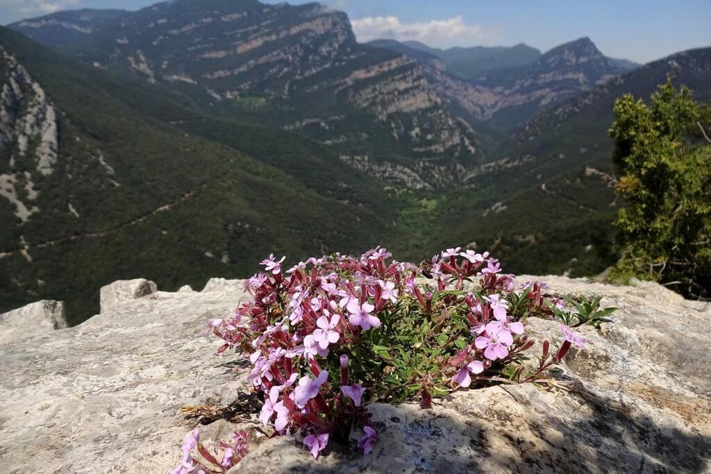 Pont De Valenti Mountain Retreat Apartment Херона Екстериор снимка